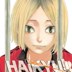 Haikyu!! Vol. 35